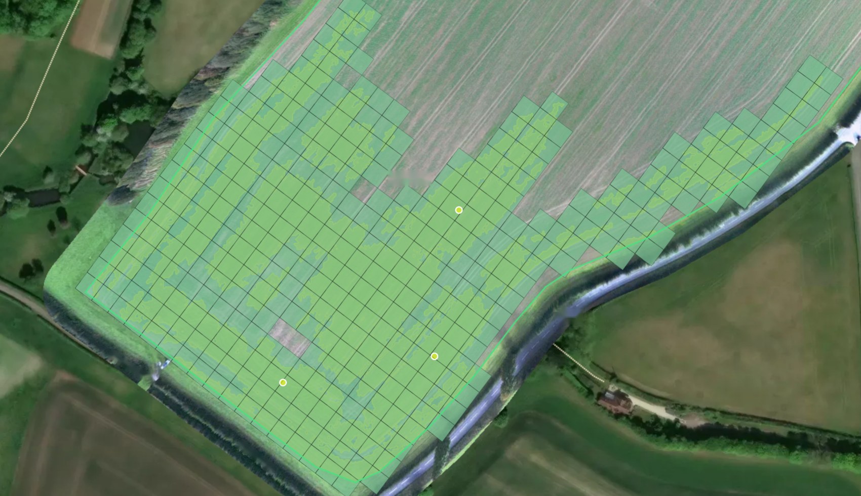 The spray grid over the field: 12 m cells covering the weed areas, squared to the tramlines.
